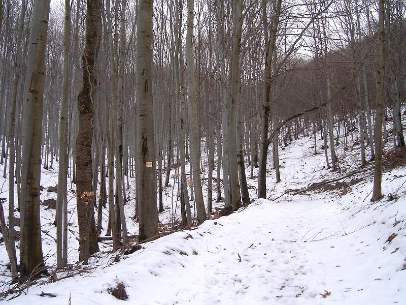 20110219 048.jpg